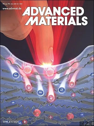 解锁大自然的百宝箱—Advanced Materials出版生物聚合物专刊(图7)