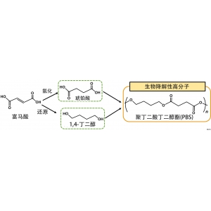 大阪公立大学利用生物催化剂从二氧化碳中成功合成塑料原料