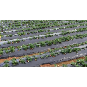 法治赋能与产业转型——《生态环境法典》对中国可降解地膜行业的冲击、市场影响及发展路径分析