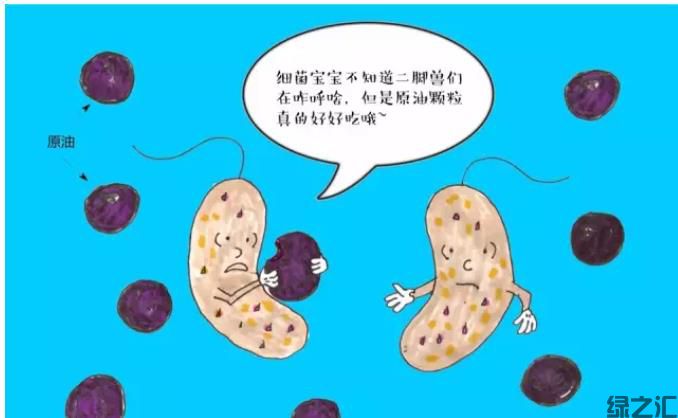 可实现对氯代物完全解毒的厌氧降解菌剂(图1)