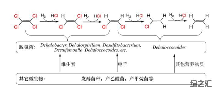 可实现对氯代物完全解毒的厌氧降解菌剂(图2) 可实现对氯代物完全解毒的厌氧降解菌剂(图2)