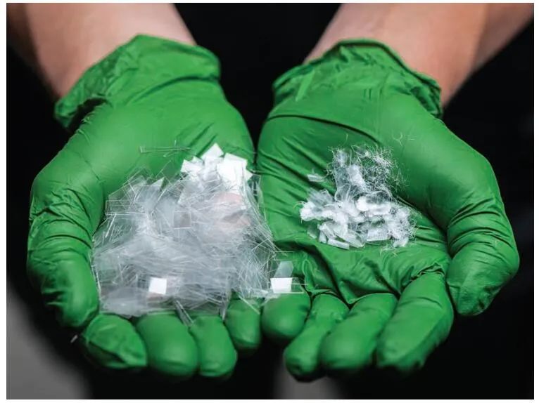 细菌酶-未来塑料垃圾的食客(图1) 图片