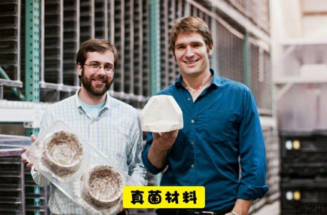 未来10种可替代塑料的可生物降解的生态材料(图3)