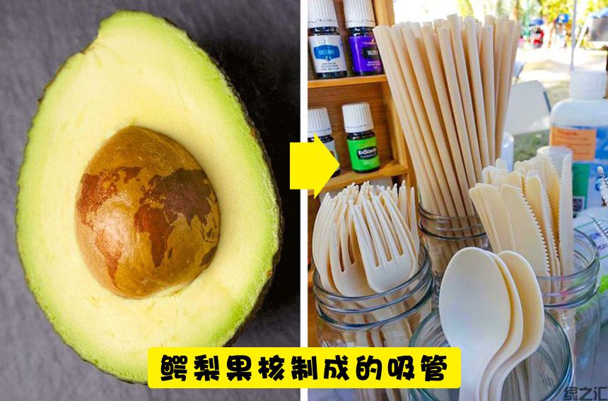 未来10种可替代塑料的可生物降解的生态材料(图2)