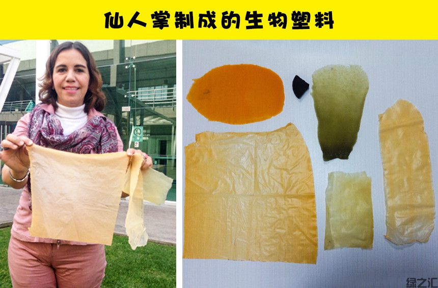 未来10种可替代塑料的可生物降解的生态材料(图4)