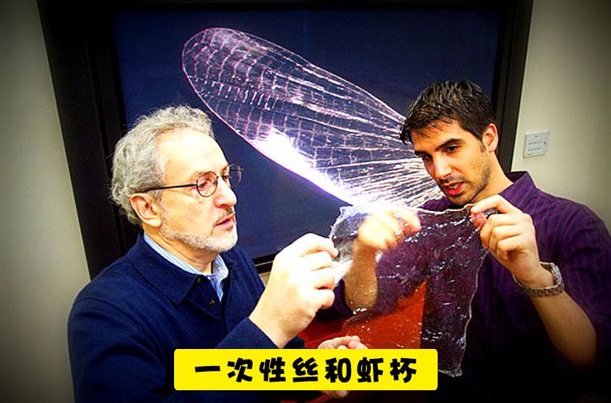 未来10种可替代塑料的可生物降解的生态材料(图10)