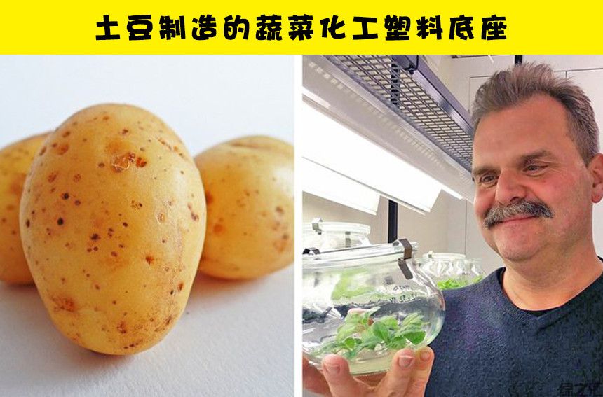 未来10种可替代塑料的可生物降解的生态材料(图8)