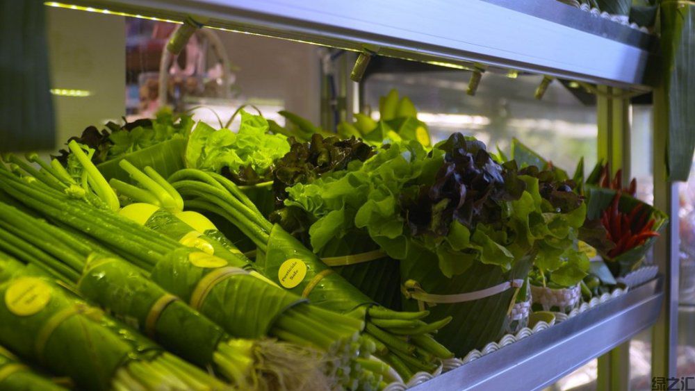 未来10种可替代塑料的可生物降解的生态材料(图9)