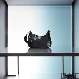 未来的时尚：美与可持续发展(图5)